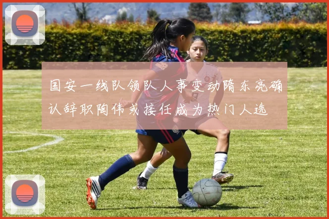 国安一线队领队人事变动隋东亮确认辞职陶伟或接任成为热门人选